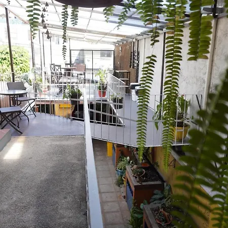 Hostal Guatefriends-3